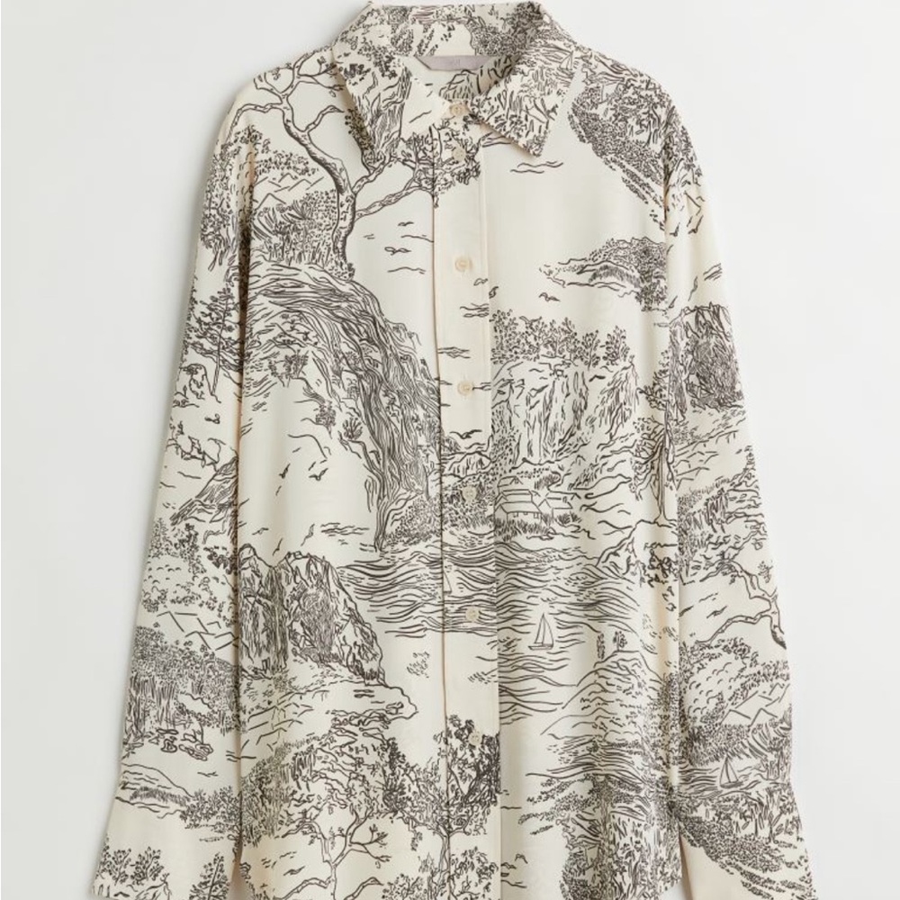H&M Shirt with a Sheen